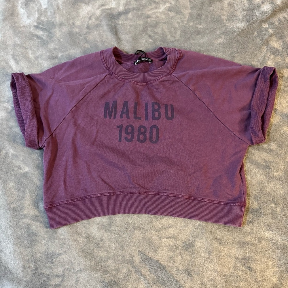 Zara Purple Graphic Crop Top

#1305